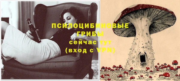 дмт Беломорск